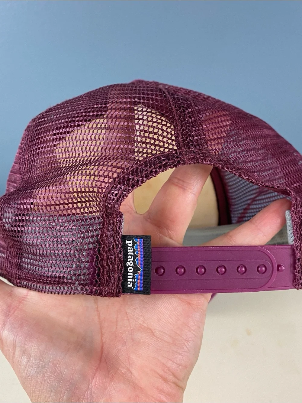 Patagonia questions leave